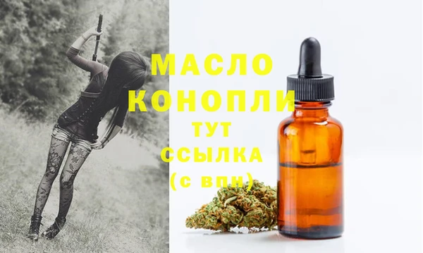 дмт Богородицк