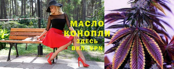 дмт Богородицк