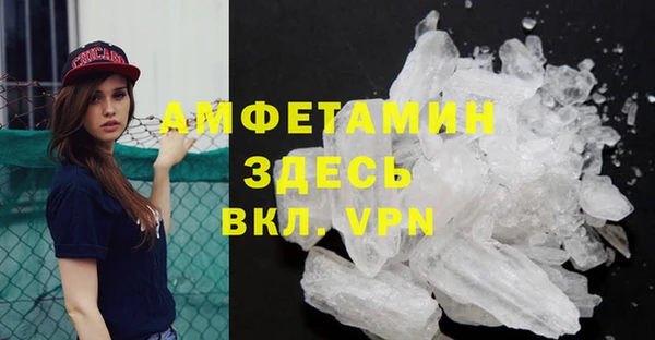 молекула духа Богданович