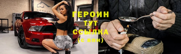 молекула духа Богданович