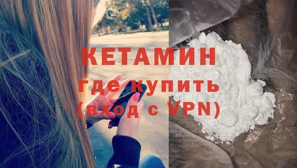 молекула духа Богданович
