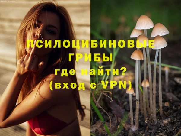 дмт Богородицк