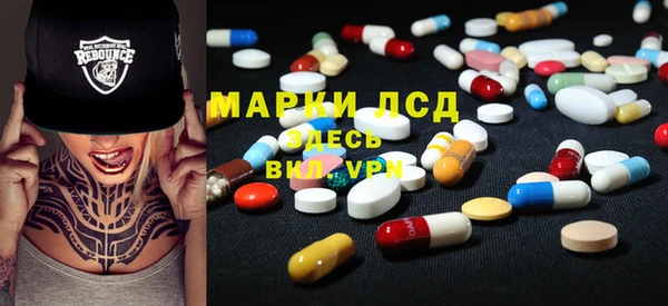 молекула духа Богданович