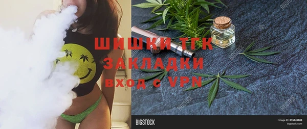 молекула духа Богданович