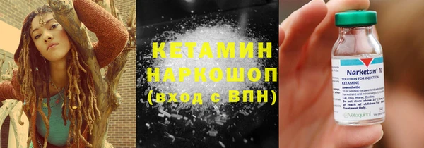 молекула духа Богданович