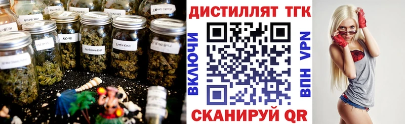 блэк спрут ТОР  Конаково  Дистиллят ТГК жижа 
